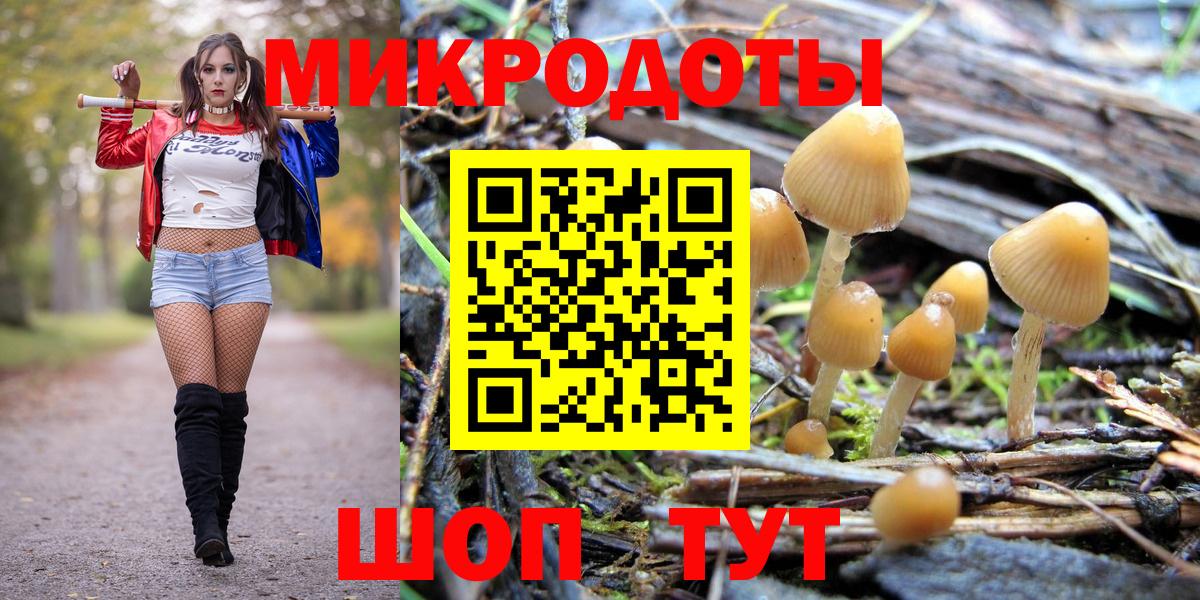 Галлюциногенные грибы MAGIC MUSHROOMS Пермь